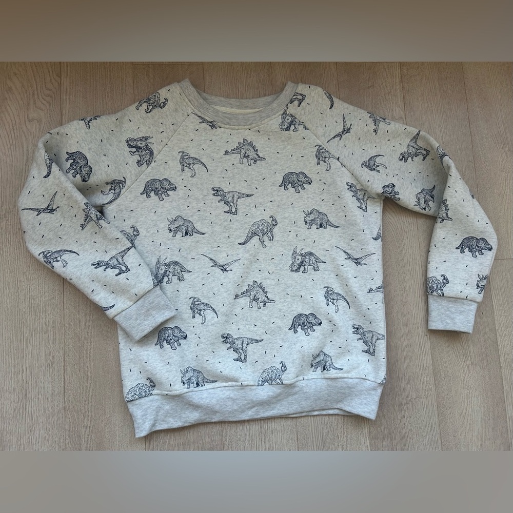 Dinosaur Print Gray Sweatshirt